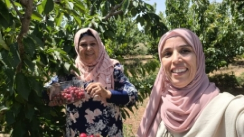 טיול המועדונים הבדואים לנחל לנחל שניר יוני 21 (5).jpeg