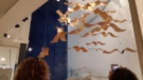 הביאנלה לאמנות מאי 2021 (11).jpeg