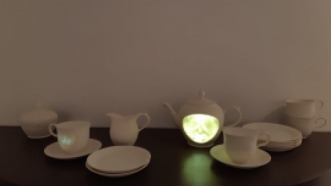 הביאנלה לאמנות מאי 2021 (12).jpeg