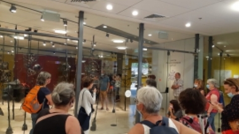 הביאנלה לאמנות מאי 2021 (13).jpeg