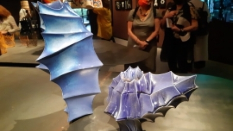 הביאנלה לאמנות מאי 2021 (19).jpeg