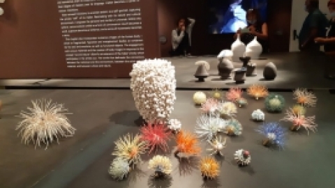 הביאנלה לאמנות מאי 2021 (8).jpeg