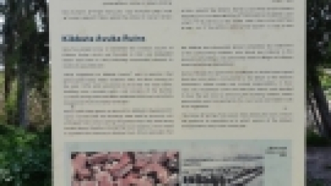 טיול בעמק המעיינות (4).jpeg