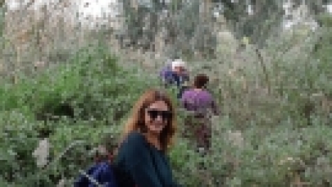 טיול בעמק המעיינות (12).jpeg