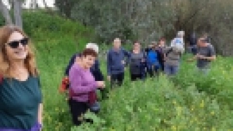 טיול בעמק המעיינות (6).jpeg