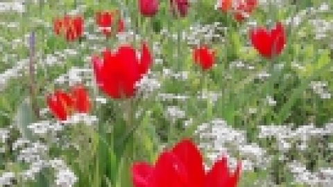 טיול לנחל שלף ורמת מנשה (4).jpeg