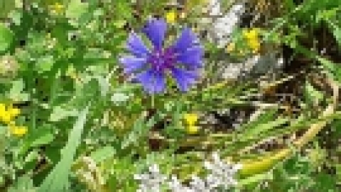 טיול לנחל שלף ורמת מנשה (1).jpeg