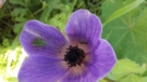 טיול לנחל שלף ורמת מנשה (11).jpeg