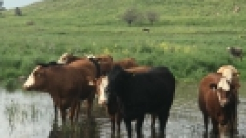 טיול לנחל שלף ורמת מנשה (5).jpeg