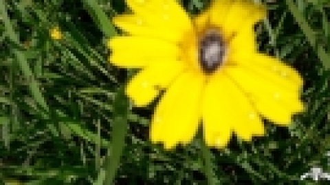 טיול לנחל שלף ורמת מנשה (16).jpeg