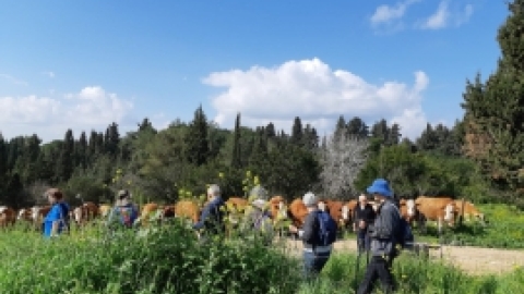 טיול לנחל שלף ורמת מנשה (20).jpeg