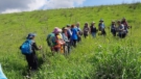 טיול לנחל שלף ורמת מנשה (19).jpeg