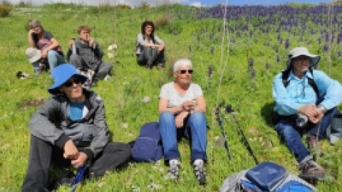 טיול לנחל שלף ורמת מנשה (18).jpeg