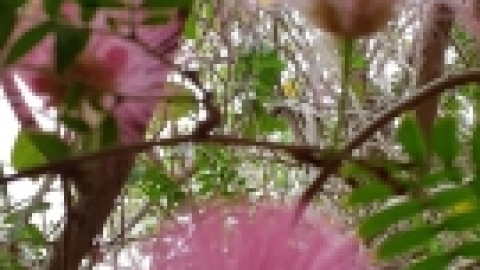 נופש אילת פברואר 2020 (4).jpg