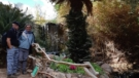 נופש אילת פברואר 2020 (6).jpg