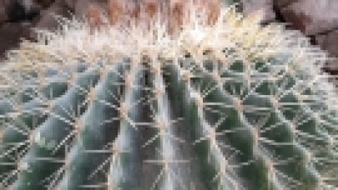 נופש אילת פברואר 2020 (3).jpg