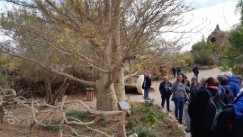 נופש אילת פברואר 2020 (9).jpg