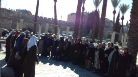 טיולים  (1).jpeg