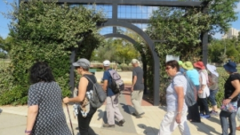 טיולים  (3).jpg