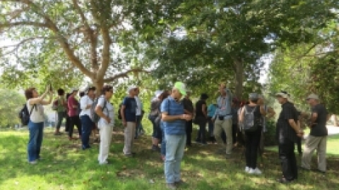 טיולים תשעט (1).jpg