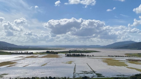 תמונה של WhatsApp‏ 2024-03-12 בשעה 07.40.53_3686778e.jpg