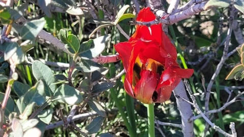 תמונה של WhatsApp‏ 2024-03-11 בשעה 14.14.17_171bda7d.jpg