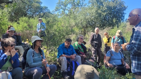 תמונה של WhatsApp‏ 2024-03-11 בשעה 13.41.51_025576da.jpg