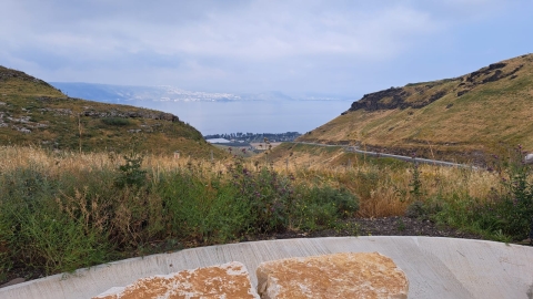 WhatsApp Image 2024-04-11 at 12.48.51.jpeg