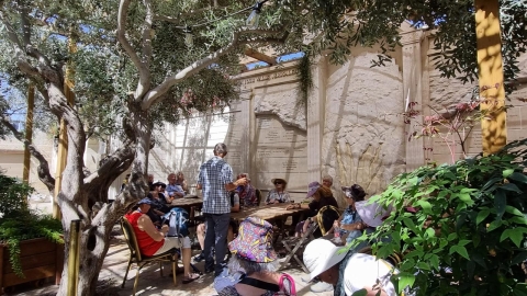 תמונה של WhatsApp‏ 2024-06-03 בשעה 22.03.04_7596b793.jpg