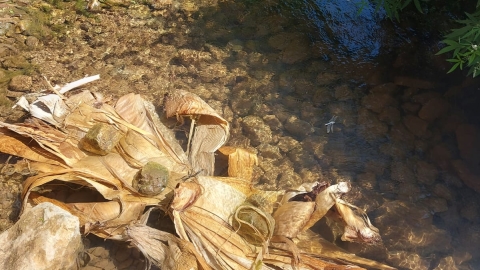 WhatsApp Image 2024-06-09 at 09.09.31 (1).jpeg