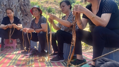 WhatsApp Image 2024-06-09 at 09.09.30.jpeg