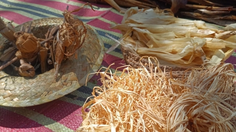 WhatsApp Image 2024-06-27 at 17.52.15.jpeg