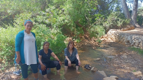 WhatsApp Image 2024-06-27 at 17.52.16.jpeg