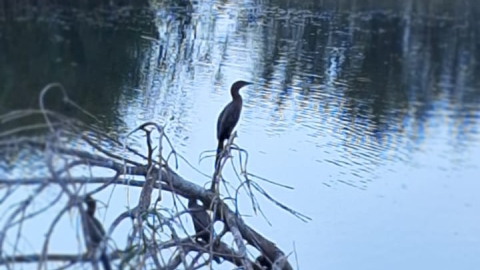 WhatsApp Image 2025-11-04 at 17.59.33 (2).jpeg