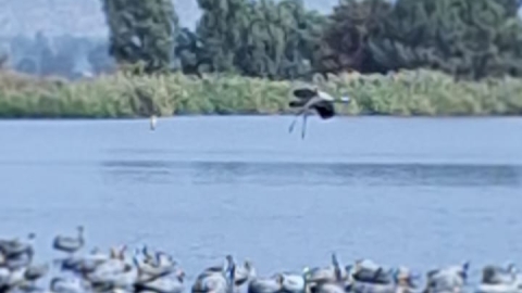 WhatsApp Image 2025-11-04 at 17.59.34 (1).jpeg