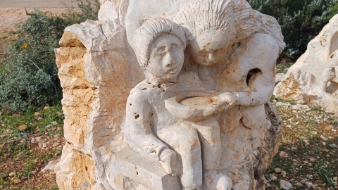 WhatsApp Image 2025-12-21 at 12.49.29.jpeg