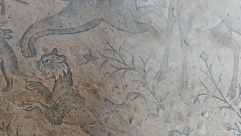 WhatsApp Image 2026-01-01 at 11.20.47 (1).jpeg