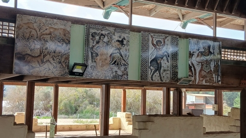 WhatsApp Image 2026-01-01 at 11.20.48.jpeg