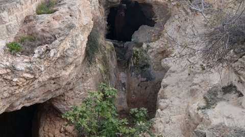 WhatsApp Image 2026-01-01 at 11.20.53 (2).jpeg